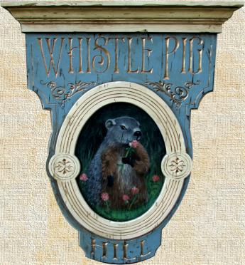 Rustic, unique signs,  farms and home